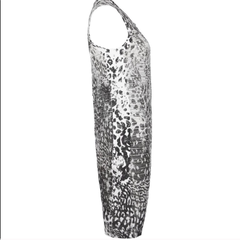 AllSaints dress
